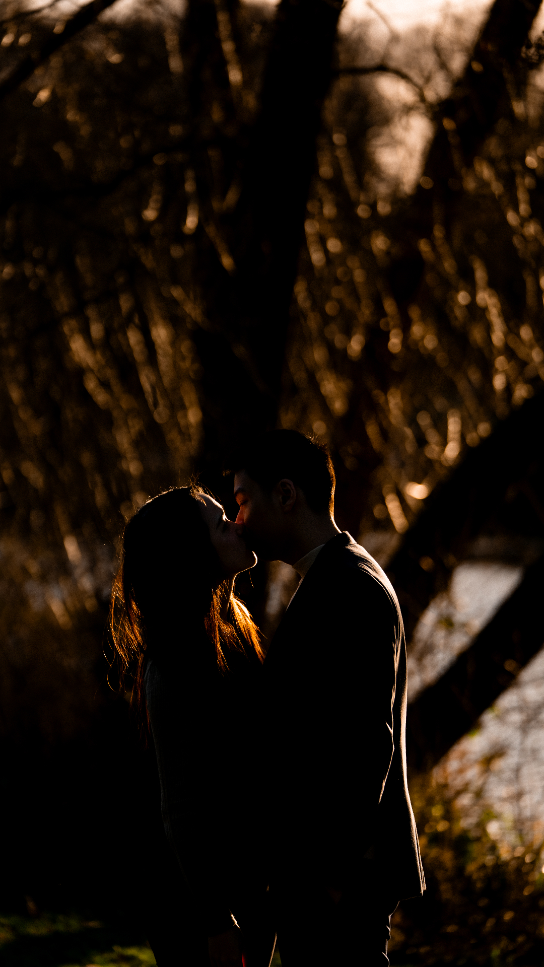 Engaged couple kissing in golden backlight by the trees
